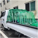 한울경로당 | 노인근력운동기구 딥다GX시니어, 한울 노인주간보호센터 방문 후기