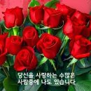 멋진 하루 이미지