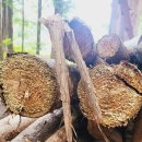 화평상사 이미지