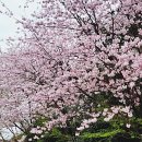 2호선 동백역 4번출구 이미지