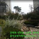 영통 황골사거리 이미지