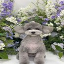 도곤도곤 애견미용실 이미지