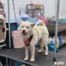 힝구샵