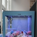 짱구문구슬러시