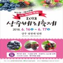 베리 이미지