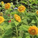 대공원입구로 이미지