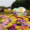 드림파크 이미지