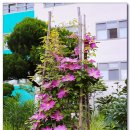 송현여자중학교 이미지