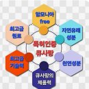큐사랑머리염색 이미지