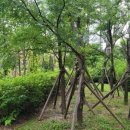 감산1교차로(감산3거리) 1 이미지