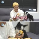 아이티텔랜드 이미지