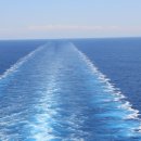 이영춘「풀잎」 이미지