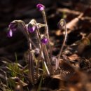 솔펜션 별관 이미지