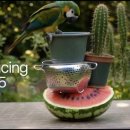 (주)비오 이미지