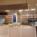 파네테리아(PANETTERIA)