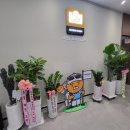 프렌즈스크린화정