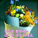 화요일 - 대덕구 | 화요일