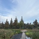 요천생태습지공원 주차장 이미지