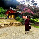 꽃피는 풍경 이미지