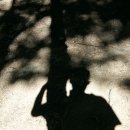 김동원 시론집 / 한국 현대시100년 12가지 주제별 읽기 / 『시집사리詩集思理』 (2025, 시와사람) 이미지