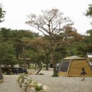 양평힐링계곡 오토캠핑장 이미지