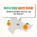 대구장터 이미지
