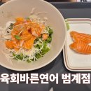 범계유디치과의원 | 범계 육회바른연어 내돈내산 후기