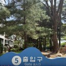 손쉬운 혼밥요리 | 성수동 떡볶이 카우떡볶이 성수 : 미나리 짜장 쫄라당과 버터갈릭감자튀김 꿀조합 후기