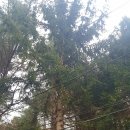 덕유산자연휴양림 이미지