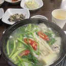 삼호짱뚱이 | 저녁에 술마시러 가면 따봉 외치고 나오는 곳 [삼호짱뚱이]