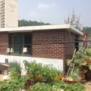 신사동-5 이미지