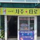 신비한타로사주