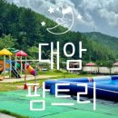 대암팜트리 이미지