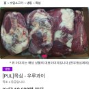 사업자가 아니어도 도매가로 고기구매 가능한 미트프렌즈(고기 저렴하게 구매하는 법, 카니보어 고기...