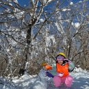 원스 태권도장 이미지