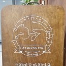 캣블레스유 이미지