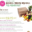 [올프레쉬] 울 딸이 너무 맛나게 먹은 배달과일 (가장 맛있는 시기의 건강한 제철과일 + 우리 몸에 꼭...