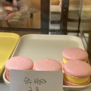 쁘미당 이미지