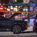 착실이네 이미지