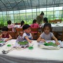 씨앗농부 이미지