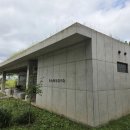 남원읍 장터가든 맞은편 주차장 | [제주카페] 휴애리근처카페 신상 핫플 정원이 예쁜 카페, 카페 담소요 내돈내산 후기!
