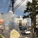 마쓰야마 #3 쇼핑하고 먹고 마시고🍺