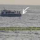 [제보 영상] 돌고래를 바로 뒤에 뒤쫒는 선박, 과태료 부과대상! 이미지