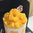 스케쳐스롯데대전