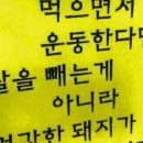 락바디짐 이미지
