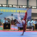 하나태권도체육관 이미지