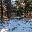 애월다래네 이미지