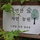 율림석수 네이버블로그