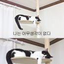 공감도서관 이미지