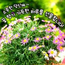 해피데이 이미지